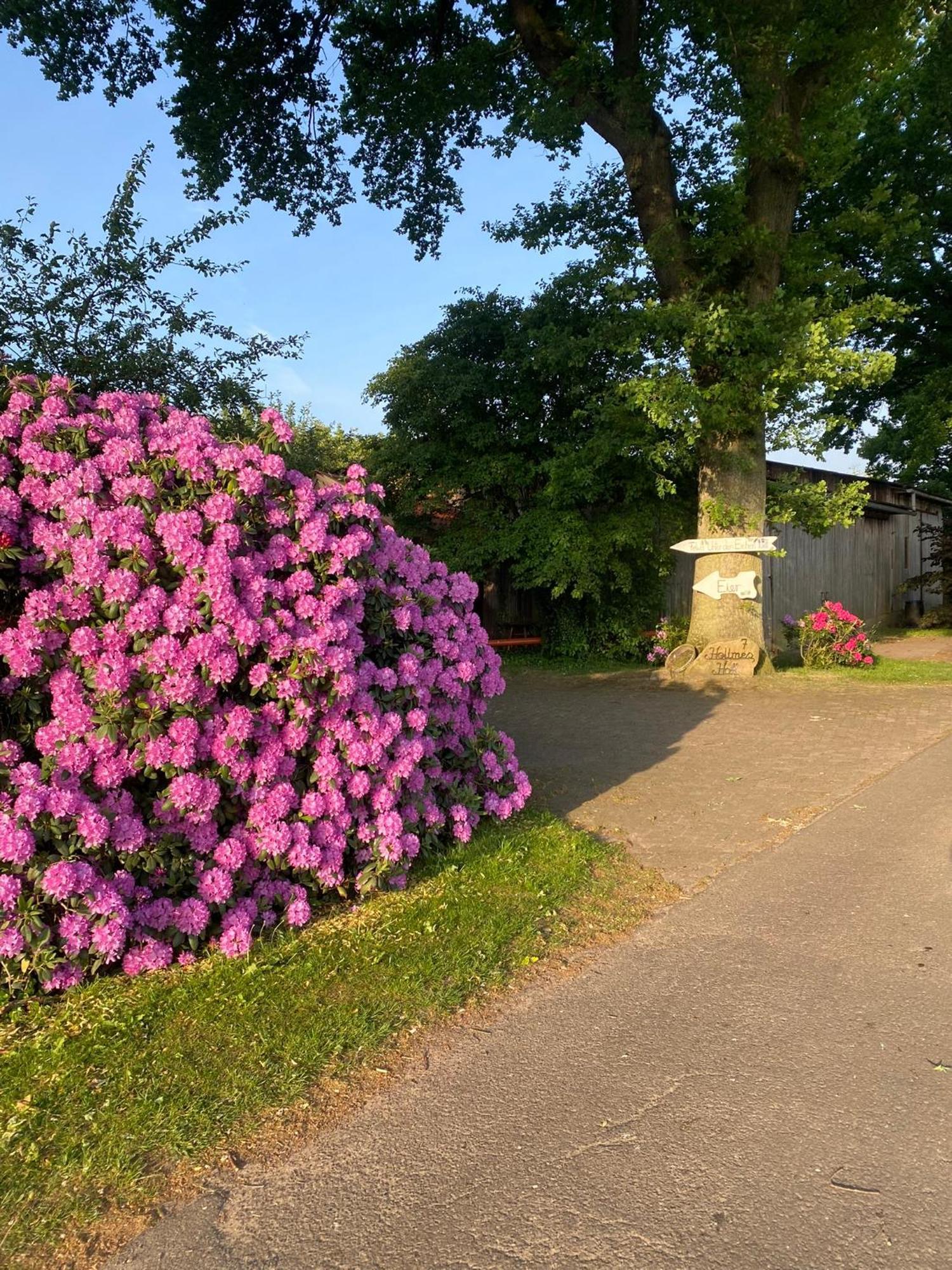 Unter Den Eichen Daire Botersen Dış mekan fotoğraf